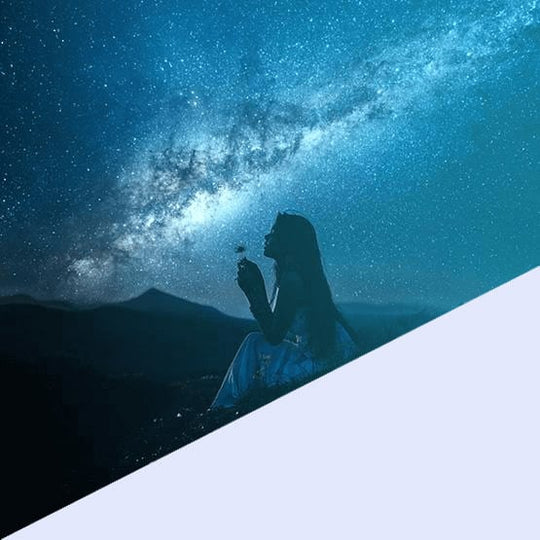 Jeder von uns ist auf der Suche...